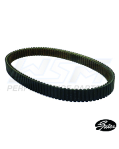 WSM Polaris 250 / 325 / 330 / 335 / 400 / 425 / 500 Drivrem 85-13