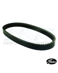 WSM Yamaha Pro Hauler 700 / 1000 Drivrem 04-06