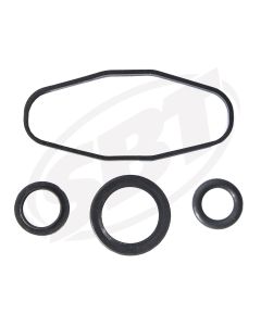 Sea-Doo RAVE Ventilrenoveringssats 947 DI / 951 DI 00-06
