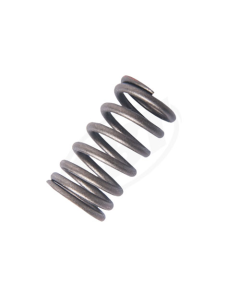 Yamaha Valve Spring