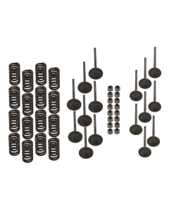SBT Honda F12 & R12 Cylinderrenoveringssats 02-06