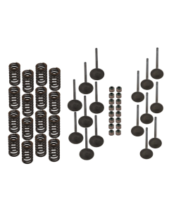 SBT Honda F12X & R12X Cylinderrenoveringssats 02-06