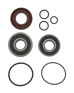 SBT Tigershark 1100 Jetpumps Renoveringssats 1999