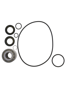 SBT Honda F-12 Jetpumps Renoveringssats 05-07