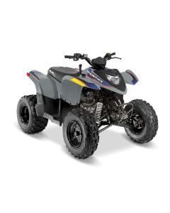 Polaris Phoenix 200 Avalance Gray Terräng 2026