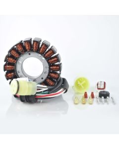 High Output Stator 300 W for Yamaha YFM 250 Bear Tracker Big Bear Bruin YFM 660 660R Raptor 2001-2009