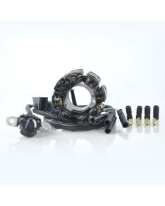 Stator For Honda CRF 450 R 2002 2003 CRF450R