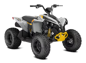 Can-Am Renegade EFI 110 Catalyst grey & Neo-Yellow INT 2025