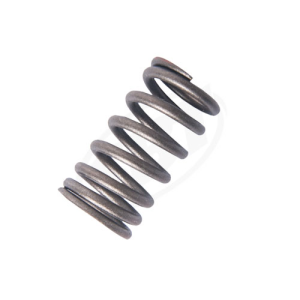 Yamaha Valve Spring